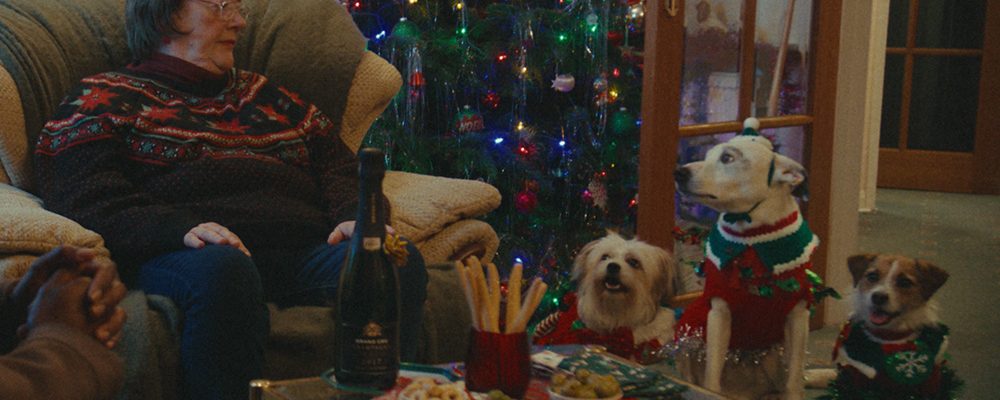 Tesco-Christmas-2025-Dogs.VZM8vuA2