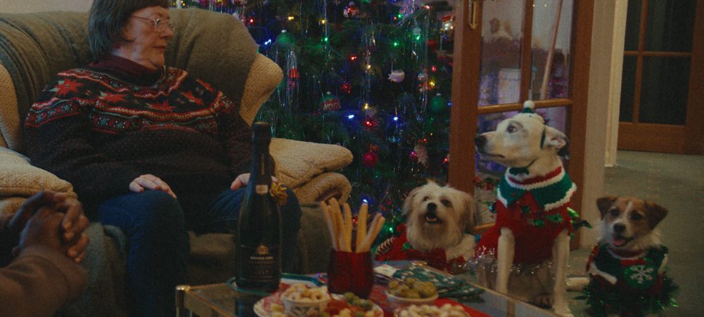 Tesco-Christmas-2025-Dogs.VZM8vuA2
