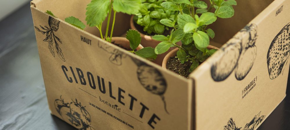 VISUEL_CIBOULETTE_2