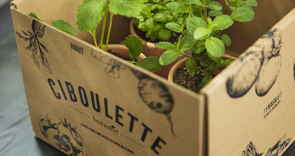 VISUEL_CIBOULETTE_2