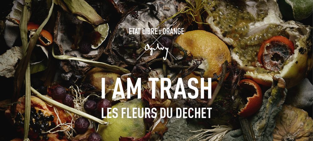 Visual_I_am_Trash_Paysage