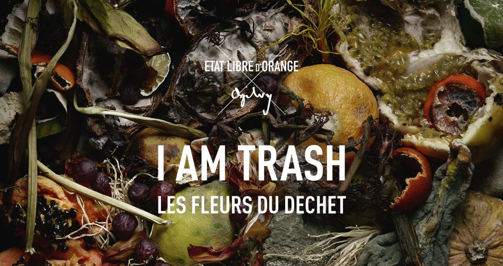 Visual_I_am_Trash_Paysage