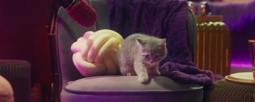 Whiskas_Purrcast_Can-kittens-eat-human-food_GRADED_v04_0_1