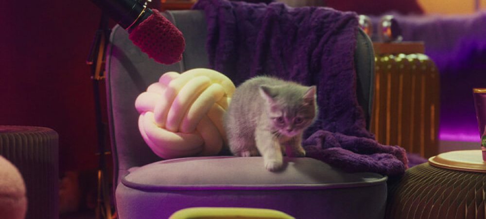 Whiskas_Purrcast_Can-kittens-eat-human-food_GRADED_v04_0_1