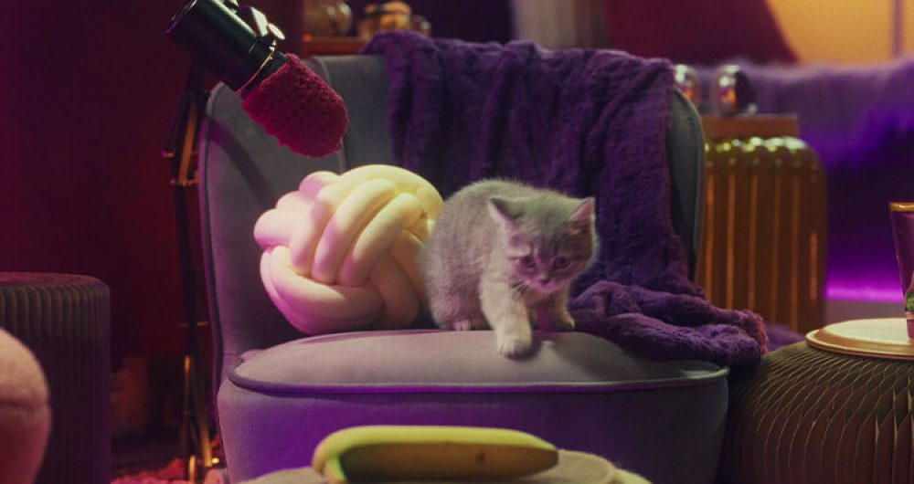 Whiskas_Purrcast_Can-kittens-eat-human-food_GRADED_v04_0_1