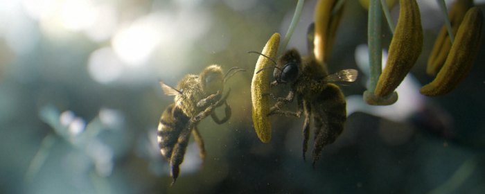 bee-2