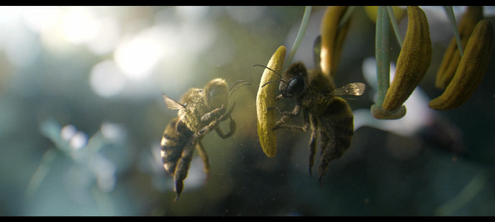 bee-2