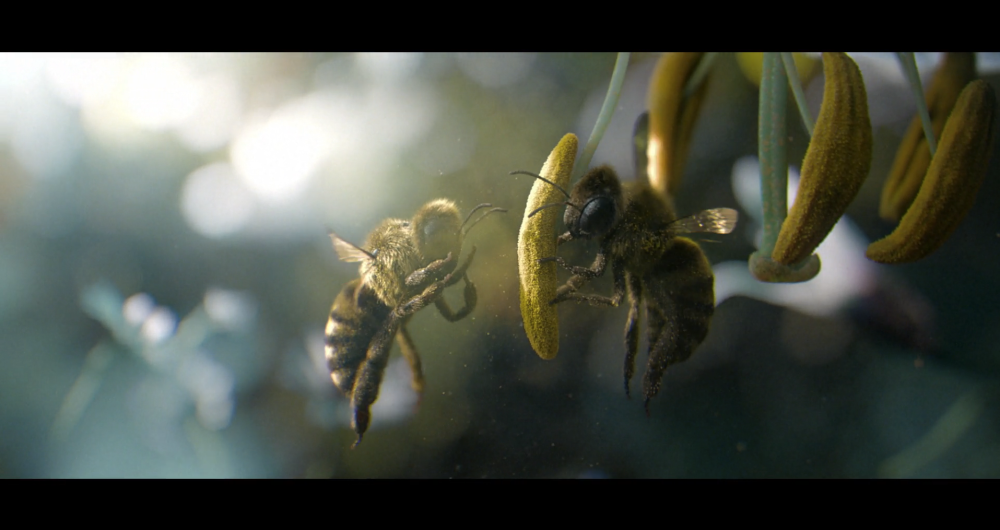bee-2
