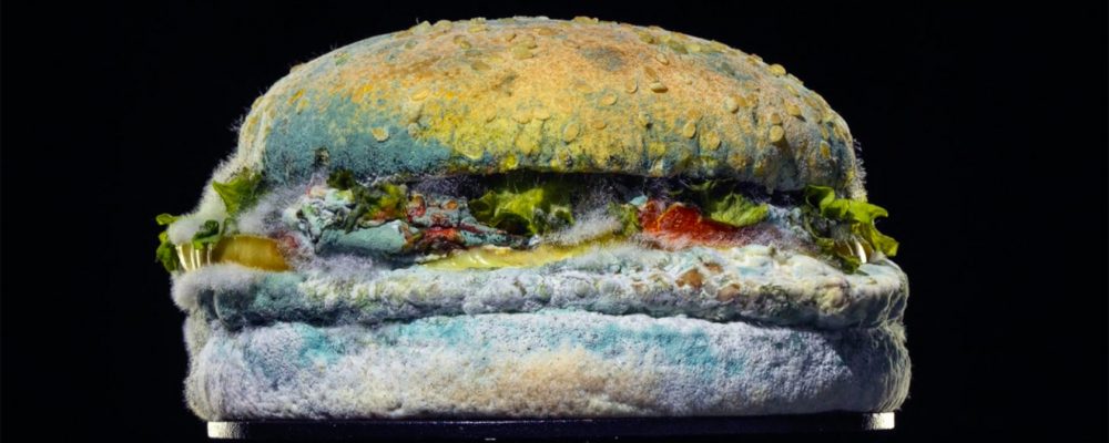 burger-king-moldy-whopper-2020-1320x660