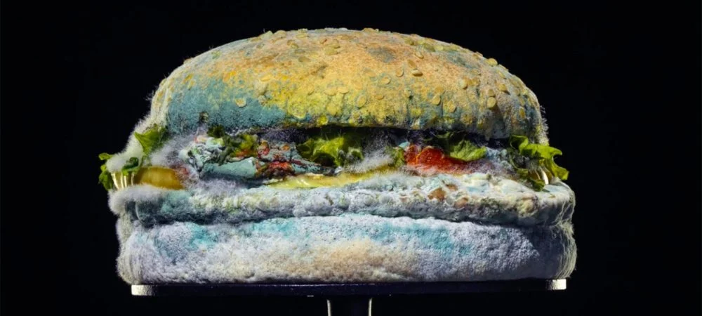 burger-king-moldy-whopper-2020-1320x660