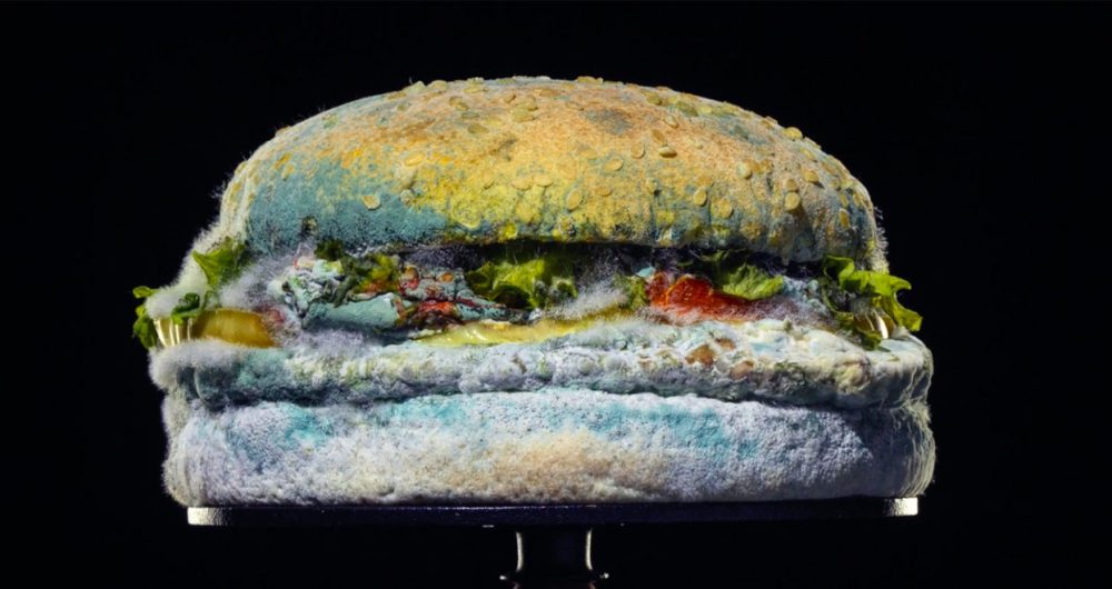burger-king-moldy-whopper-2020-1320x660