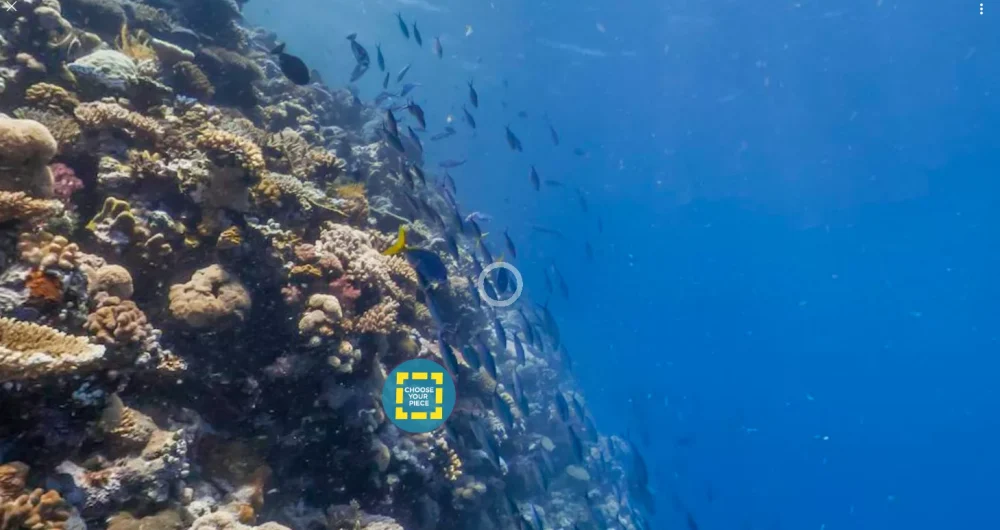 dans-ta-pub-WWF-Google-Its-Your-Reef-4
