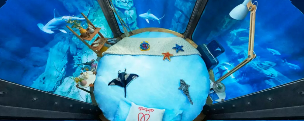dans-ta-pub-airbnb-ubi-bene-aquarium-paris-chambre-requin-1