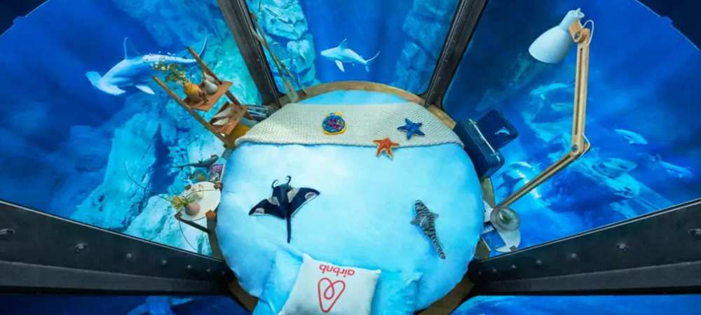 dans-ta-pub-airbnb-ubi-bene-aquarium-paris-chambre-requin-1