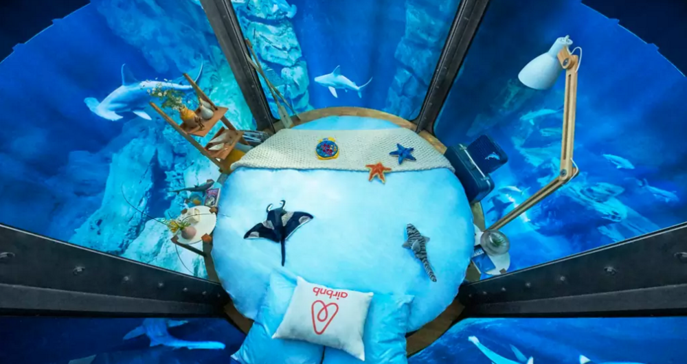 dans-ta-pub-airbnb-ubi-bene-aquarium-paris-chambre-requin-1