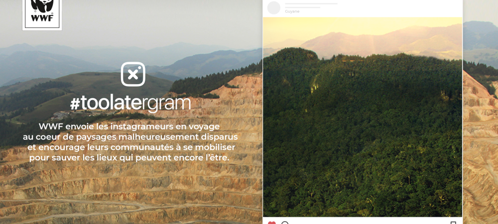 dans-ta-pub-instagram-toolatergram-wwf-sensibilisation-nature-19