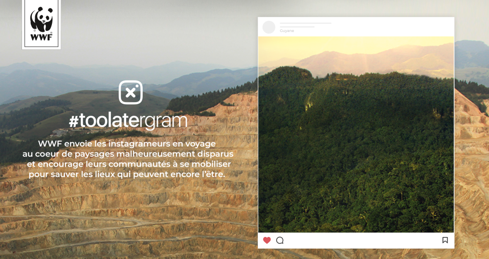 dans-ta-pub-instagram-toolatergram-wwf-sensibilisation-nature-19