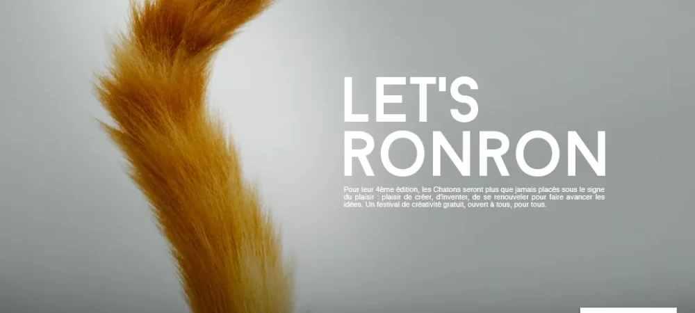 dans-ta-pub-lets-ronron-chatons-dor-2015-concours-idée-création-2