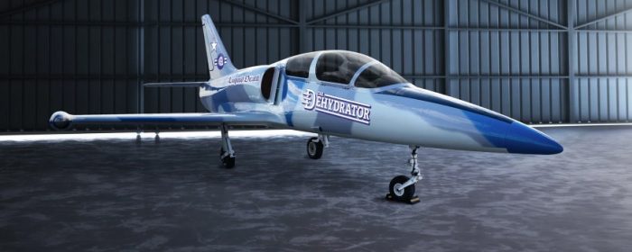 dans-ta-pub-liquid-death-private-jet-2