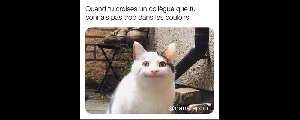 dans-ta-pub-meme-instagram-account