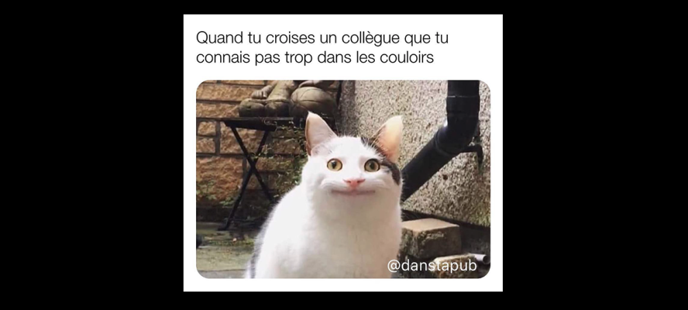 dans-ta-pub-meme-instagram-account