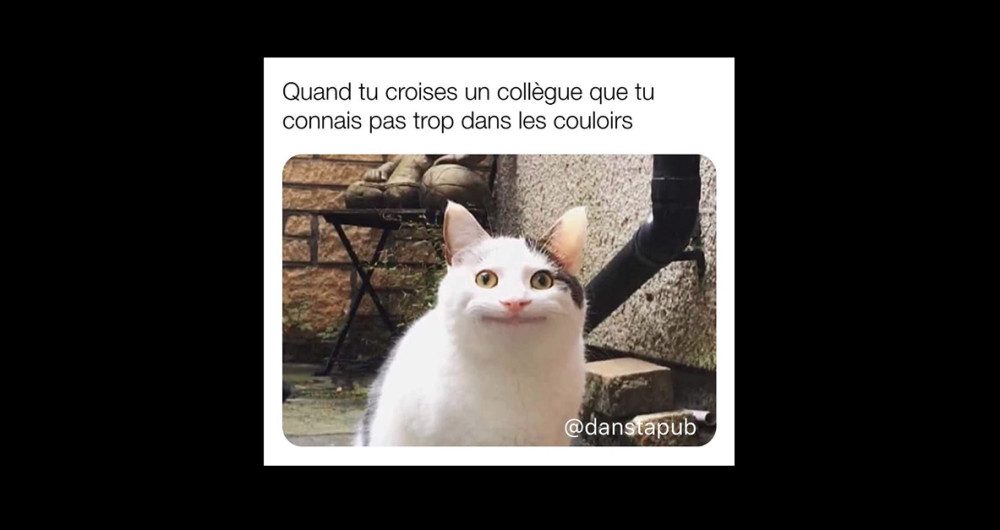 dans-ta-pub-meme-instagram-account