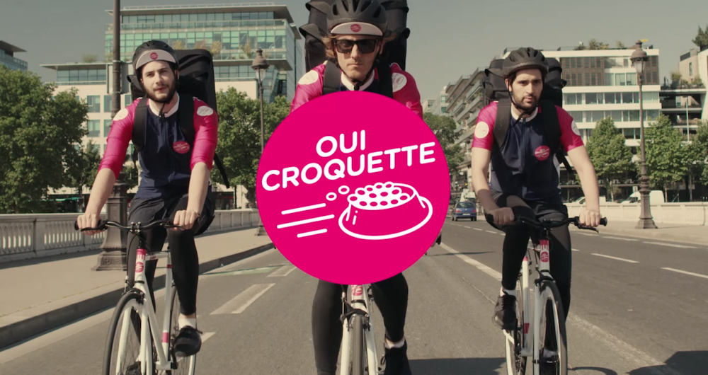 dans-ta-pub-oui-bus-croquette-vacances-animaux-buzzman