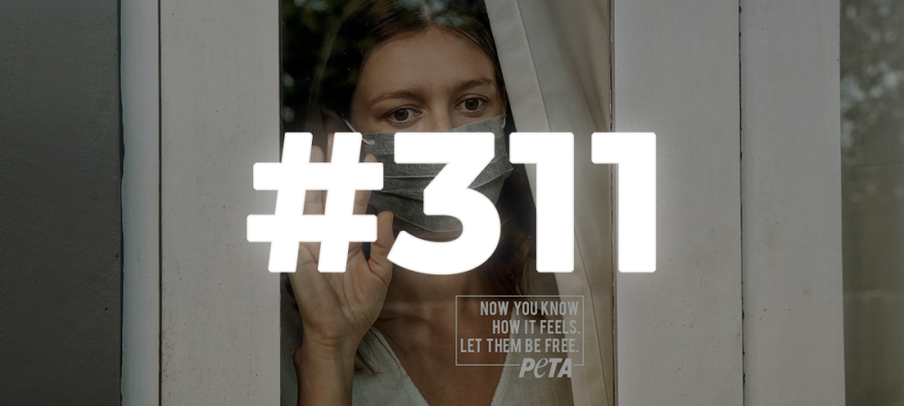 dans-ta-pub-prints-les-plus-brillants-et-creatifs-du-lundi-311-30