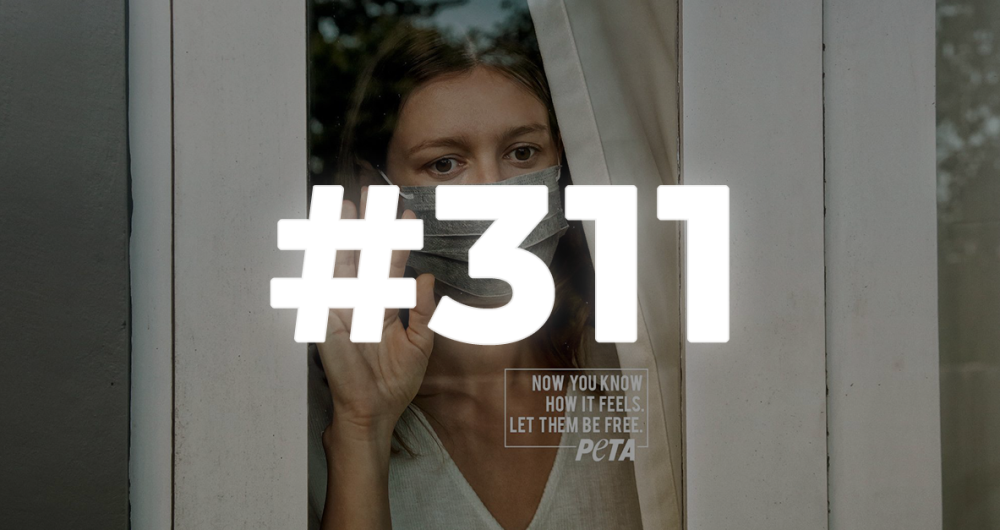 dans-ta-pub-prints-les-plus-brillants-et-creatifs-du-lundi-311-30