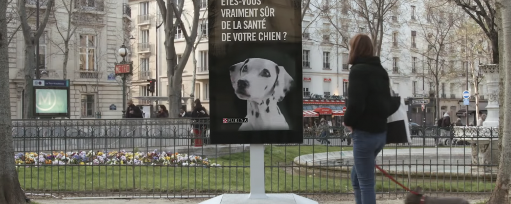 dans-ta-pub-purina-chien-street-vet