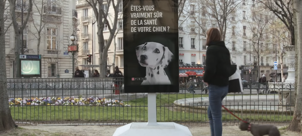dans-ta-pub-purina-chien-street-vet