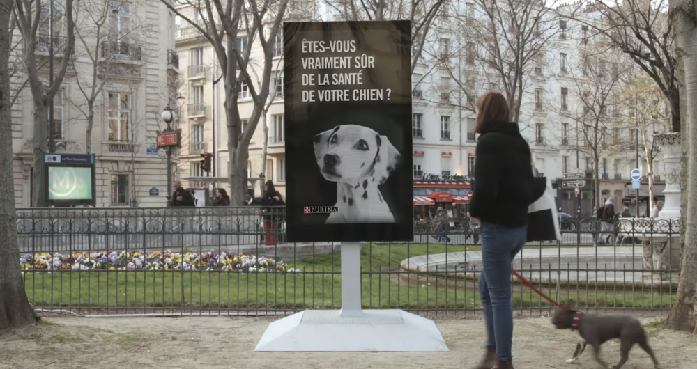 dans-ta-pub-purina-chien-street-vet