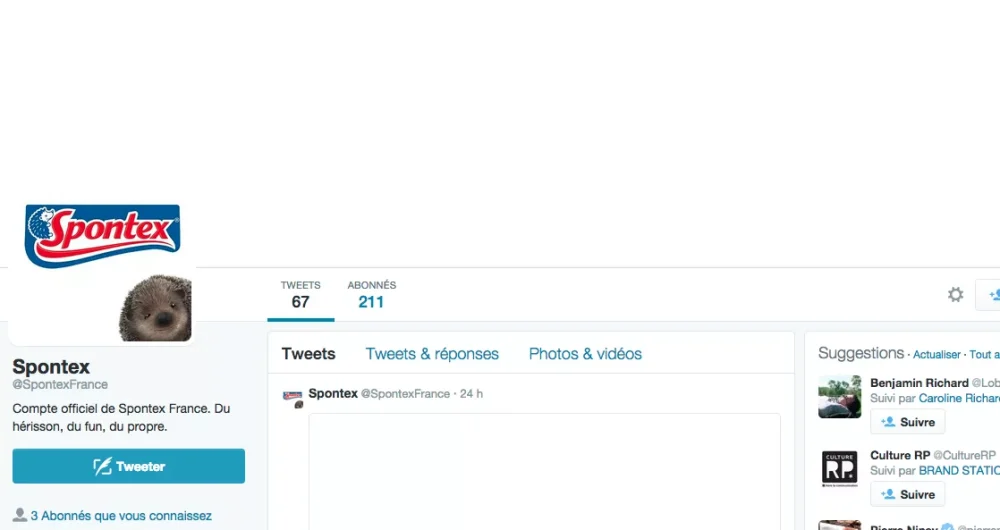 dans-ta-pub-spontex-blanc-twitter-2