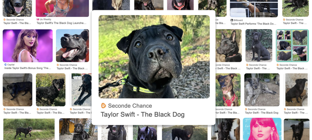 dans-ta-pub-taylor-swift-black-dog-betc-1