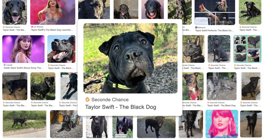 dans-ta-pub-taylor-swift-black-dog-betc-1