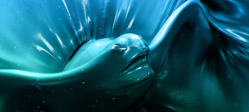 dans-ta-pub-the-plastic-ocean-sea-shepherd-fred-farid-new-york-5