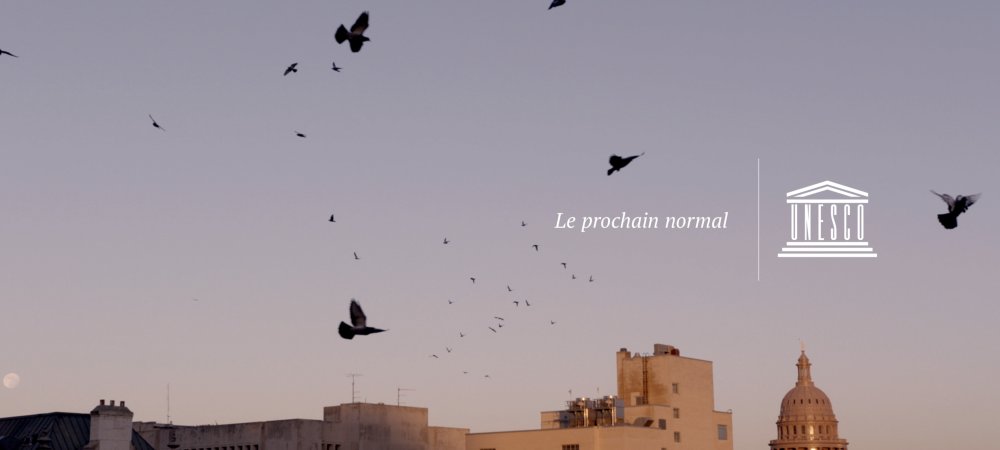 dans-ta-pub-unesco-ddb-paris-normal
