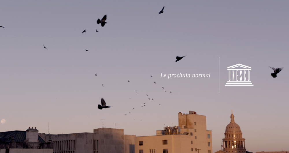 dans-ta-pub-unesco-ddb-paris-normal