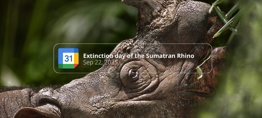dans-ta-pub-wwf-google-agenda-extinction-1
