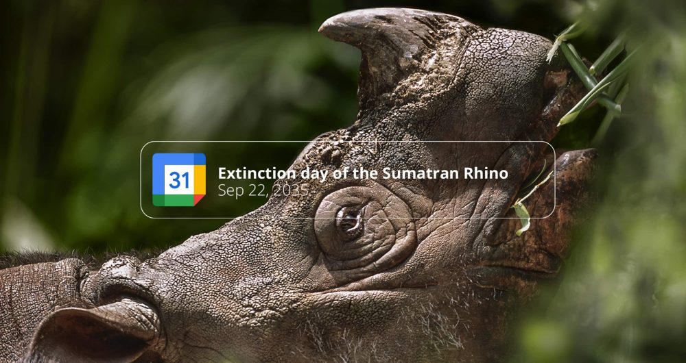 dans-ta-pub-wwf-google-agenda-extinction-1