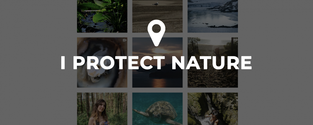 dans-ta-pub-wwf-i-protect-nature