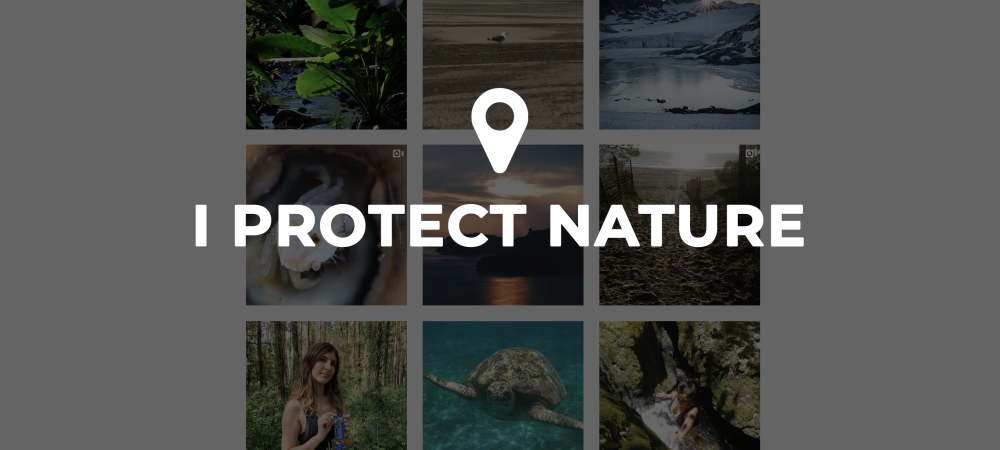 dans-ta-pub-wwf-i-protect-nature