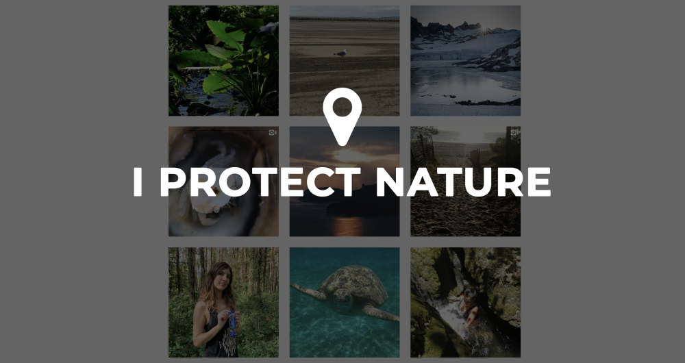 dans-ta-pub-wwf-i-protect-nature
