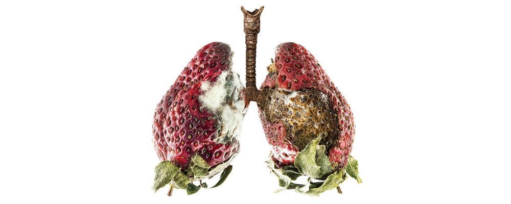 hero 3agx1qcmf5cykvn2stiepyb05nuc