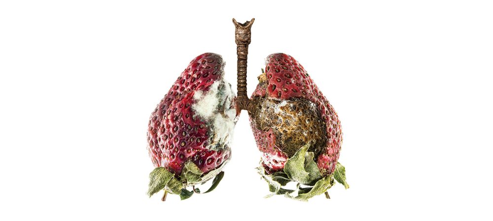 hero 3agx1qcmf5cykvn2stiepyb05nuc