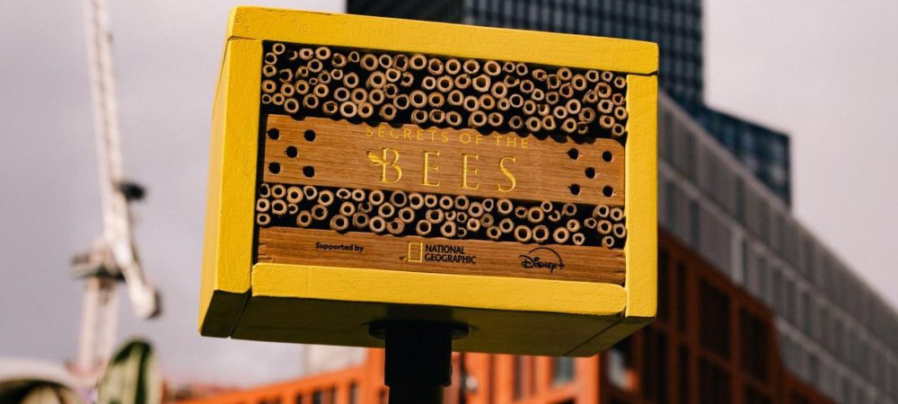 hero national-geographic-abeilles-fleurs-1