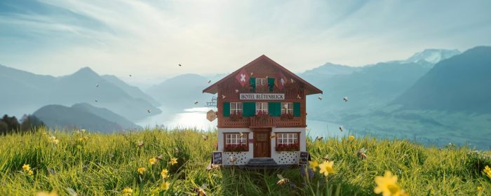 key-visual-hotel-blossom-view-with-bees