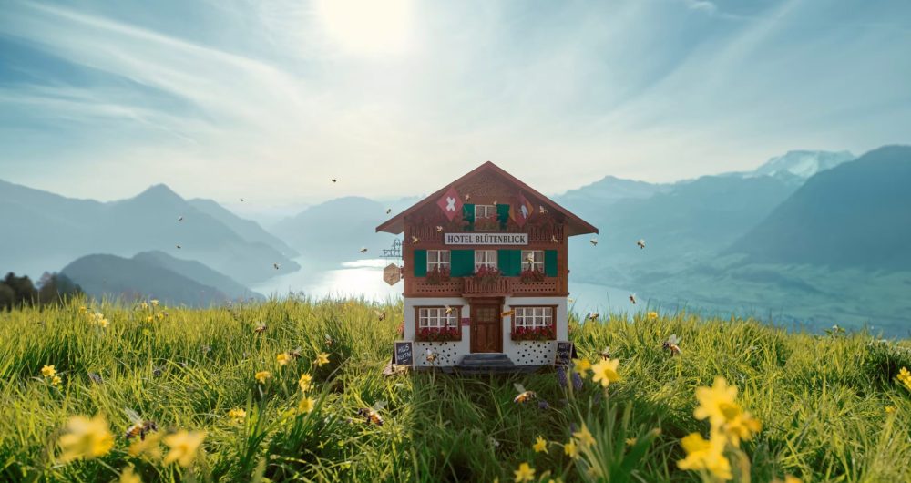 key-visual-hotel-blossom-view-with-bees
