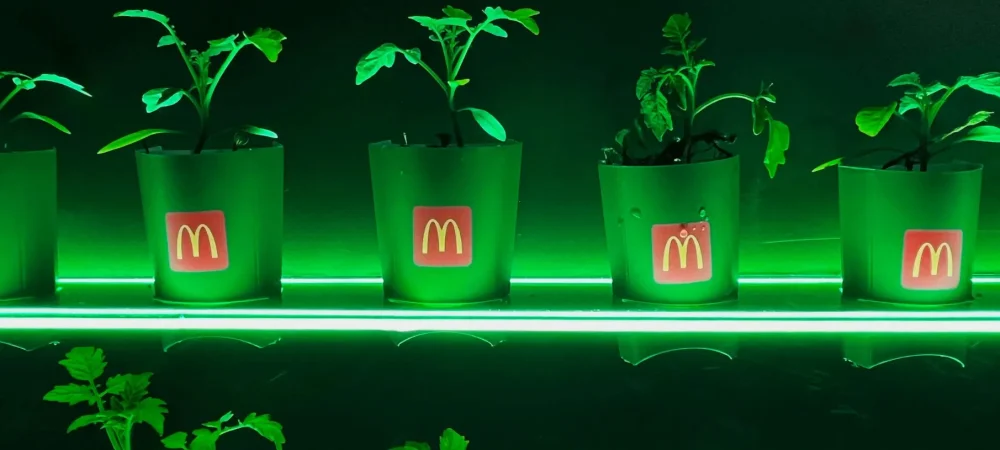 mcd_desafio60_colegio-3-1811x2415