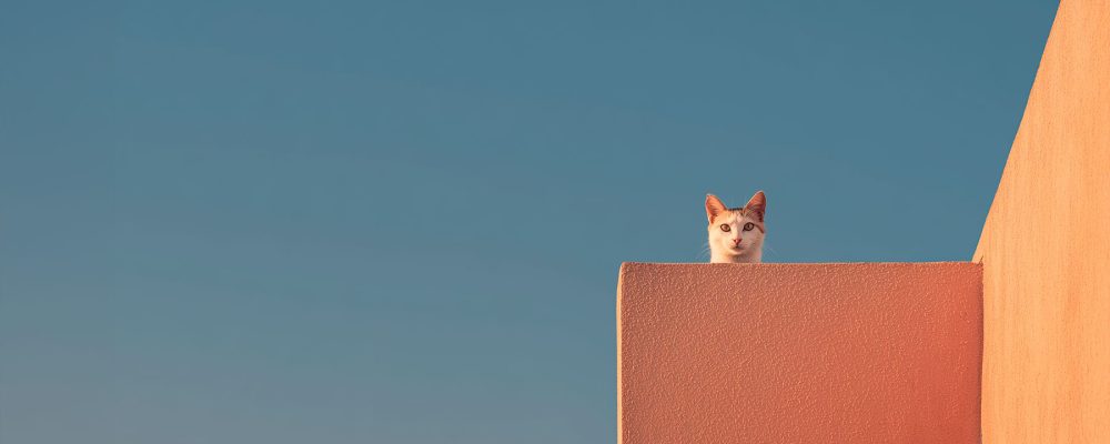 og alimiau